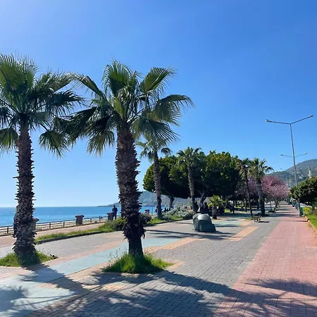 Sa Apartments! 500m To The Cleopatra *