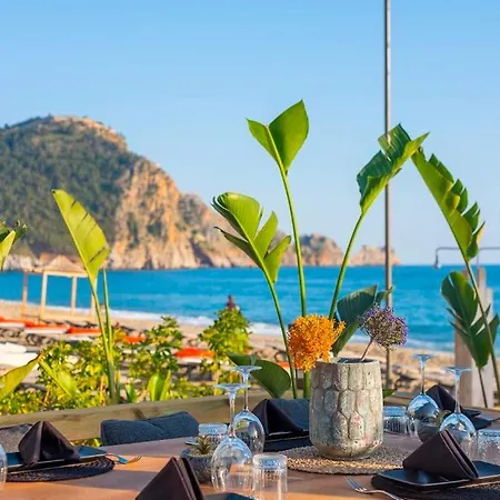 Sa Apartments! 500m To The Cleopatra * Alanya
