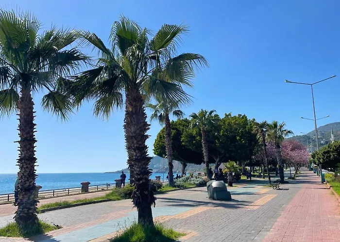 Sa Apartments! 2bd Flat 400m To The *