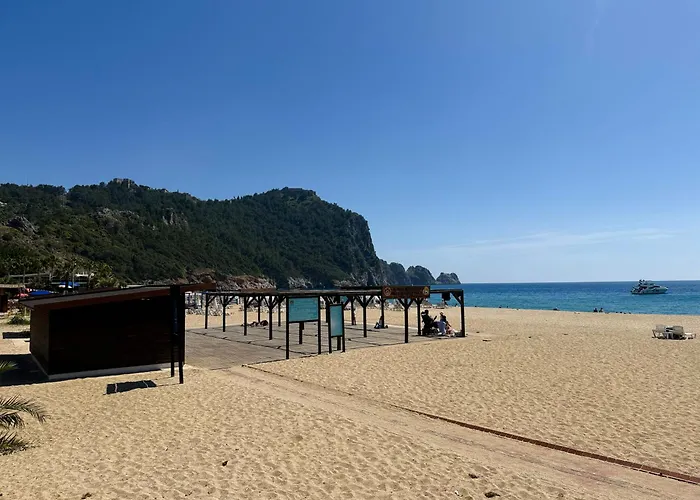 Sa Apartments! 2bd Flat 400m To The Lejlighed Alanya