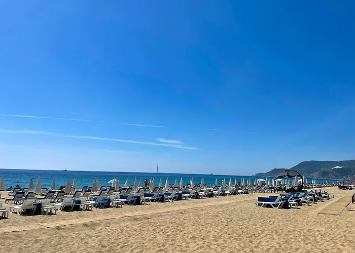 Apartment Sa Apartments! 2bd Flat 400m To The *